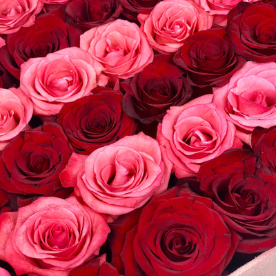 The Lucy Forever Rose Box - Medium Velvet - Stripe (16 roses) - Ohana Moments