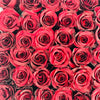 The Lucy - Medium Velvet - Solid (16 roses) - Ohana Moments