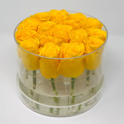 Modern Rose Box with Preserved long last lasting roses that last for years with yellow roses