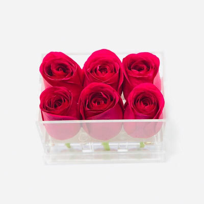 Clear Modern Rose Box with Forever Roses Long lasting roses that last for years with hot pink roses