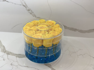 Modern Rose Box with Preserved long last lasting roses that last for years in Yellow Roses