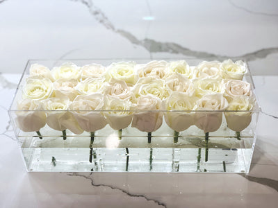 Modern rose box containing two dozen preserved long lasting roses in ivory or white roses