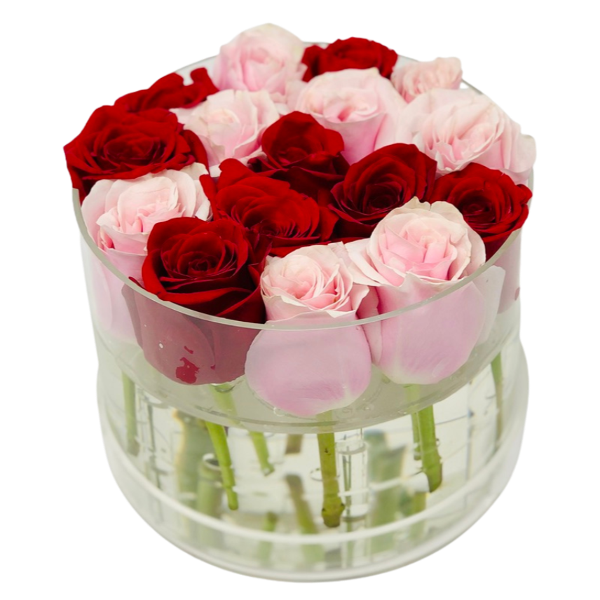 BUILD YOUR OWN FRESH ROSES MIAMI: Giselle Box - Checkered - Ohana Moments