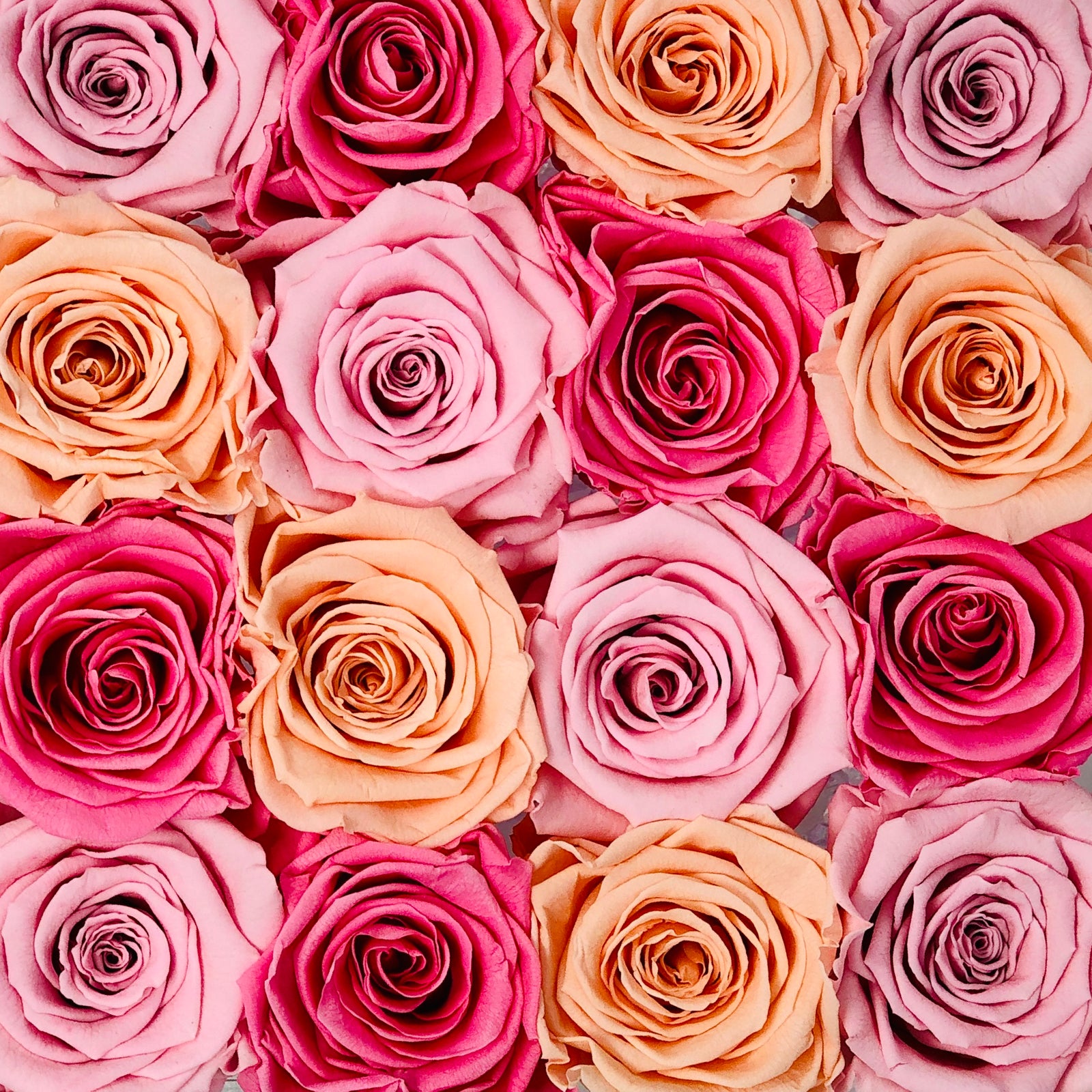 Celebrating our Super Hero Mothers for Mother's Day!