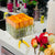 Why Choose Sustainable Home decor