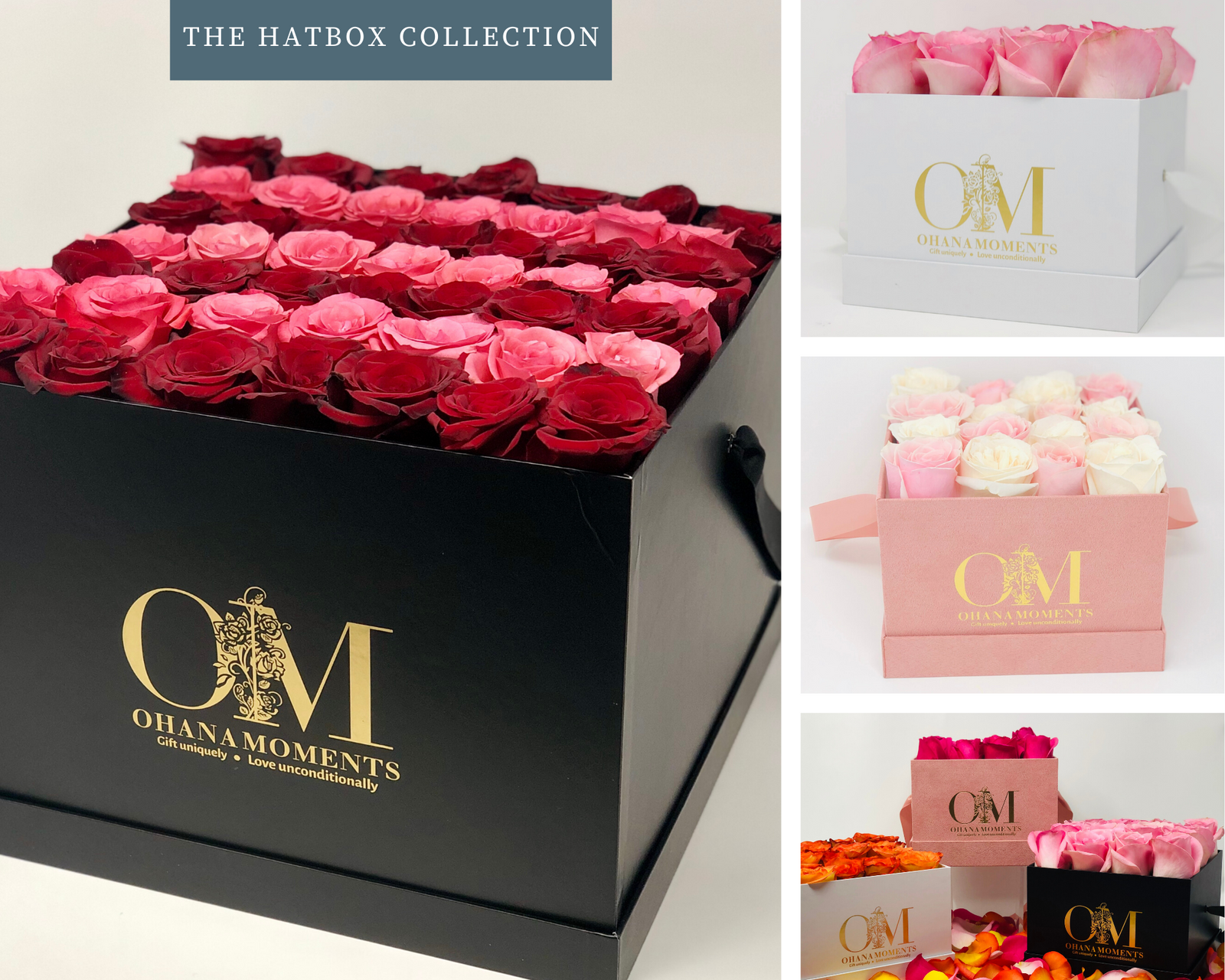 Welcome Our Newest Collection to The Ohana!!