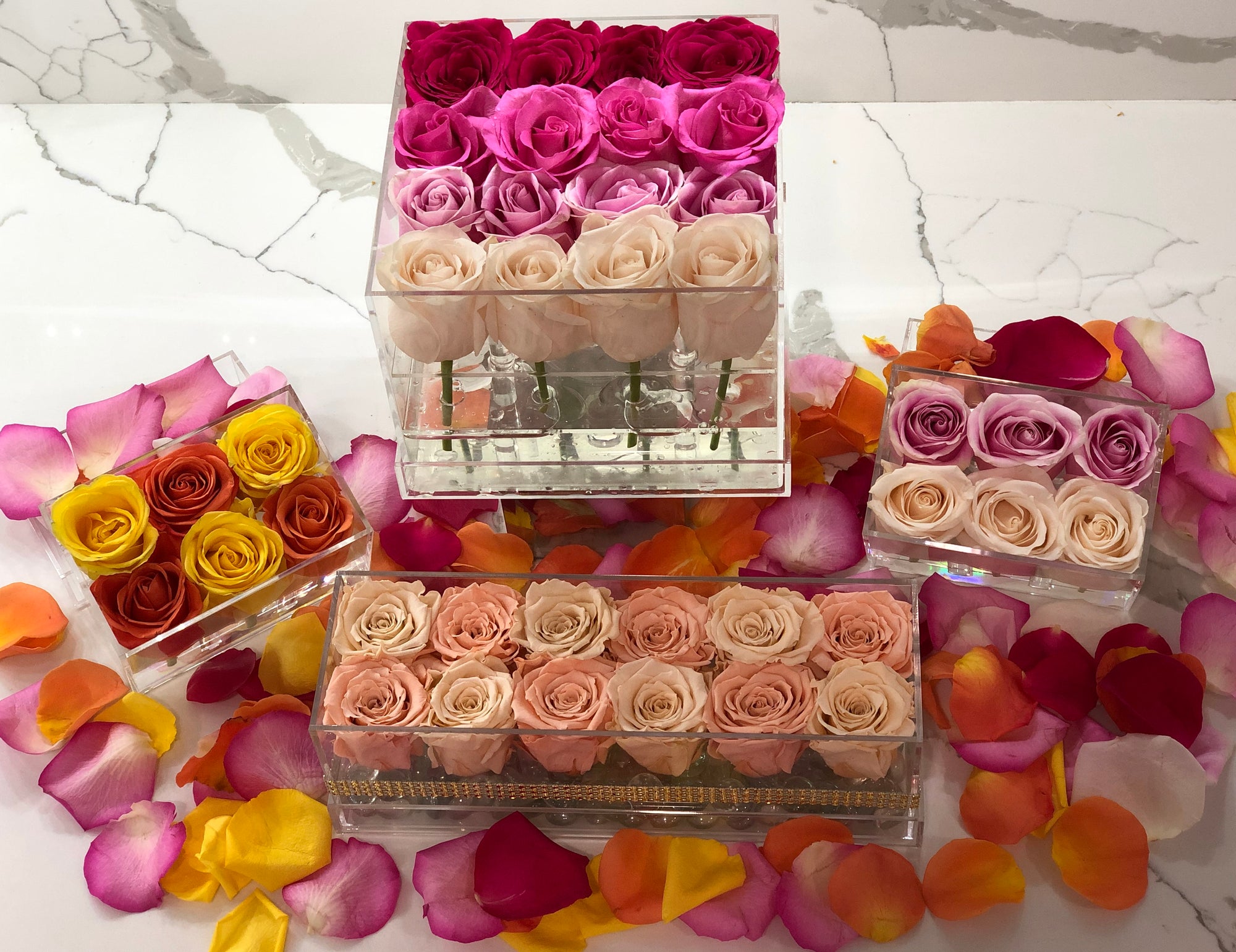 Acrylic Collection - Forever Roses