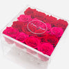 Clear Modern Rose Box containing a mix of Hot Pink Roses and Red Roses that will last for years