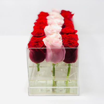 Modern rose box containing two dozen preserved long lasting roses in red roses and ivory roses