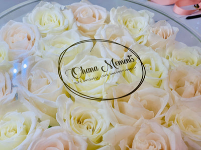 Modern Rose Box with Preserved long last lasting roses that last for years with ivory roses and white Roses