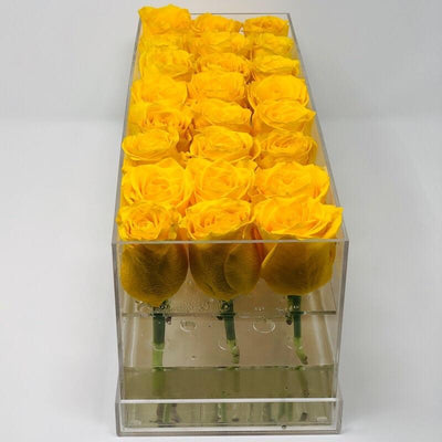 Modern rose box containing two dozen preserved long lasting roses of yellow roses
