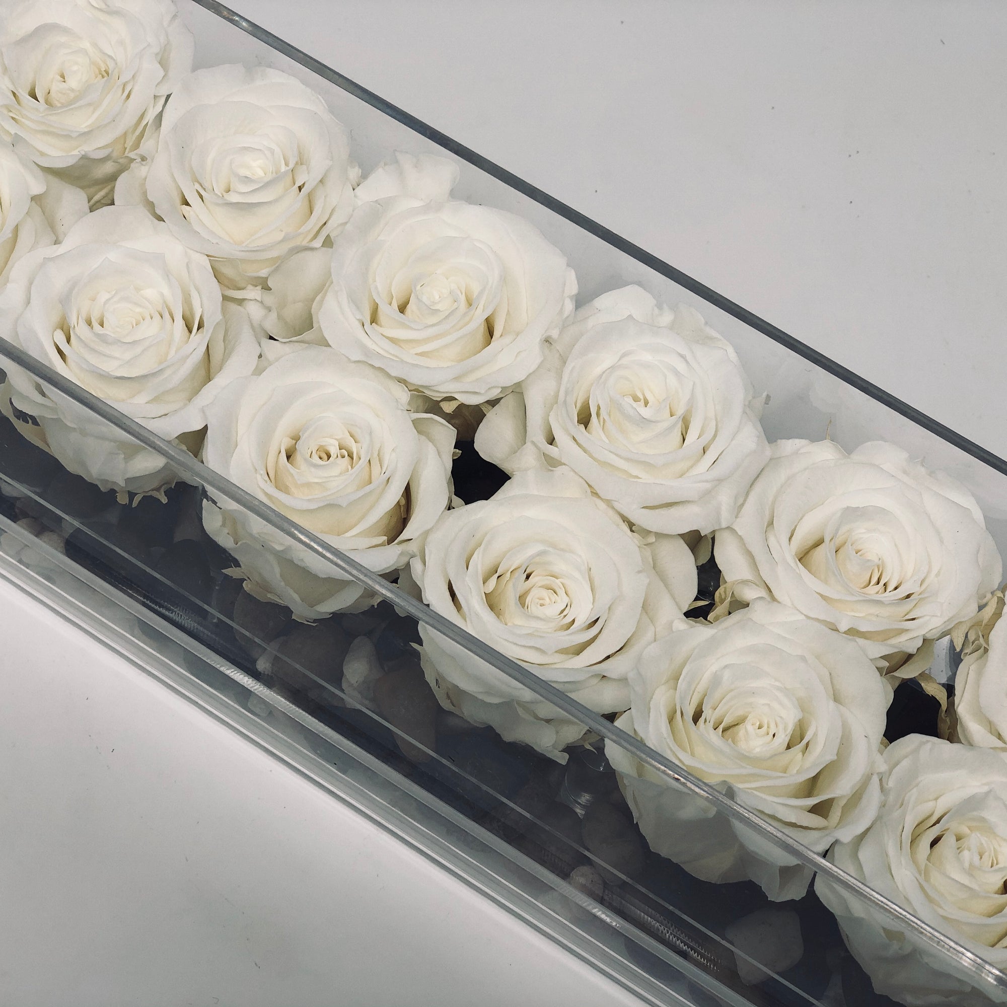 A dozen white forever roses that last for years in a modern acrylic rosebox