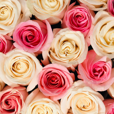 The Lucy Forever Rose Box - Medium Velvet - Checkered (16 roses) - Ohana Moments