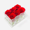 Clear Modern Rose Box with Forever Roses Long lasting roses that last for years with red roses for Valentine's Day