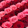 The Mia Forever Rose Box - Large - Stripe (36-42 roses) - Ohana Moments