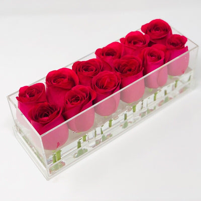 Clear Modern Rose Box with Forever Roses Long lasting roses that last for years with hot pink roses for Valentine's Day
