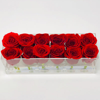 Clear Modern Rose Box with Forever Roses Long lasting roses that last for years with red roses