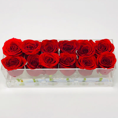 Clear Modern Rose Box with Forever Roses Long lasting roses that last for years with red roses for Valentine's Day