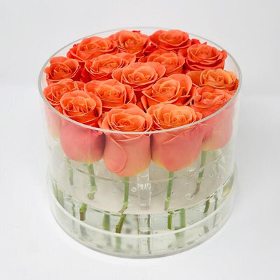 Modern Rose Box with Preserved long last lasting roses that last for years in orange Roses