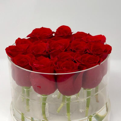 Modern Rose Box with Preserved long last lasting roses that last for years with Red Roses
