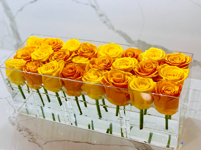 Modern rose box containing two dozen preserved long lasting roses in yellow roses and orange roses