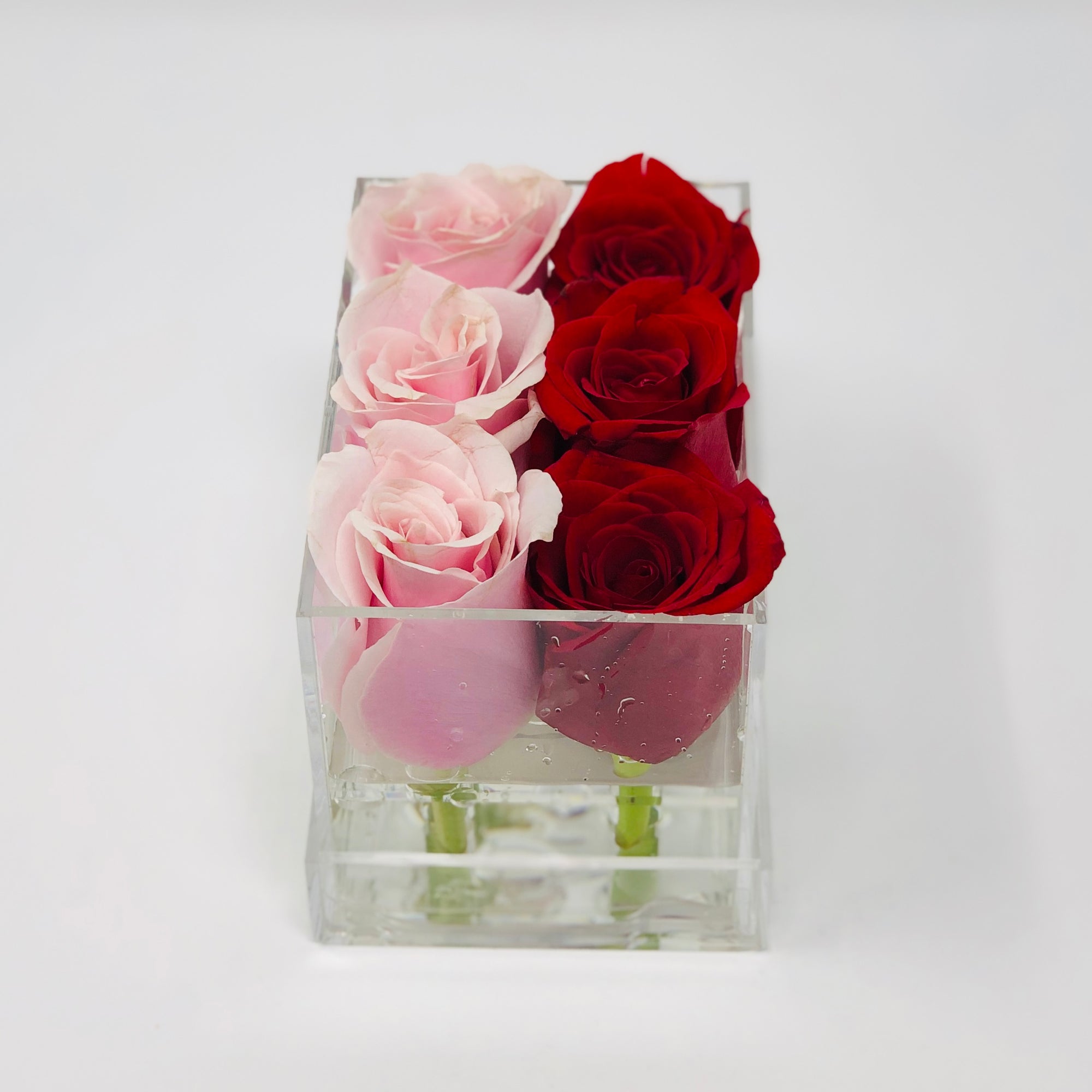 EASY Luxe DIY Forever Rose Box!! (Perfect for Mother's Day or Valentine's  Day) 