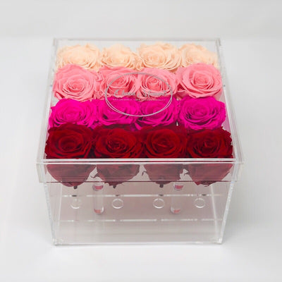 Clear Modern Rose Box with Forever Roses Long lasting roses that last for years with  an ombre mix of ivory roses, pink roses, hot pink roses and red roses for Valentine's Day