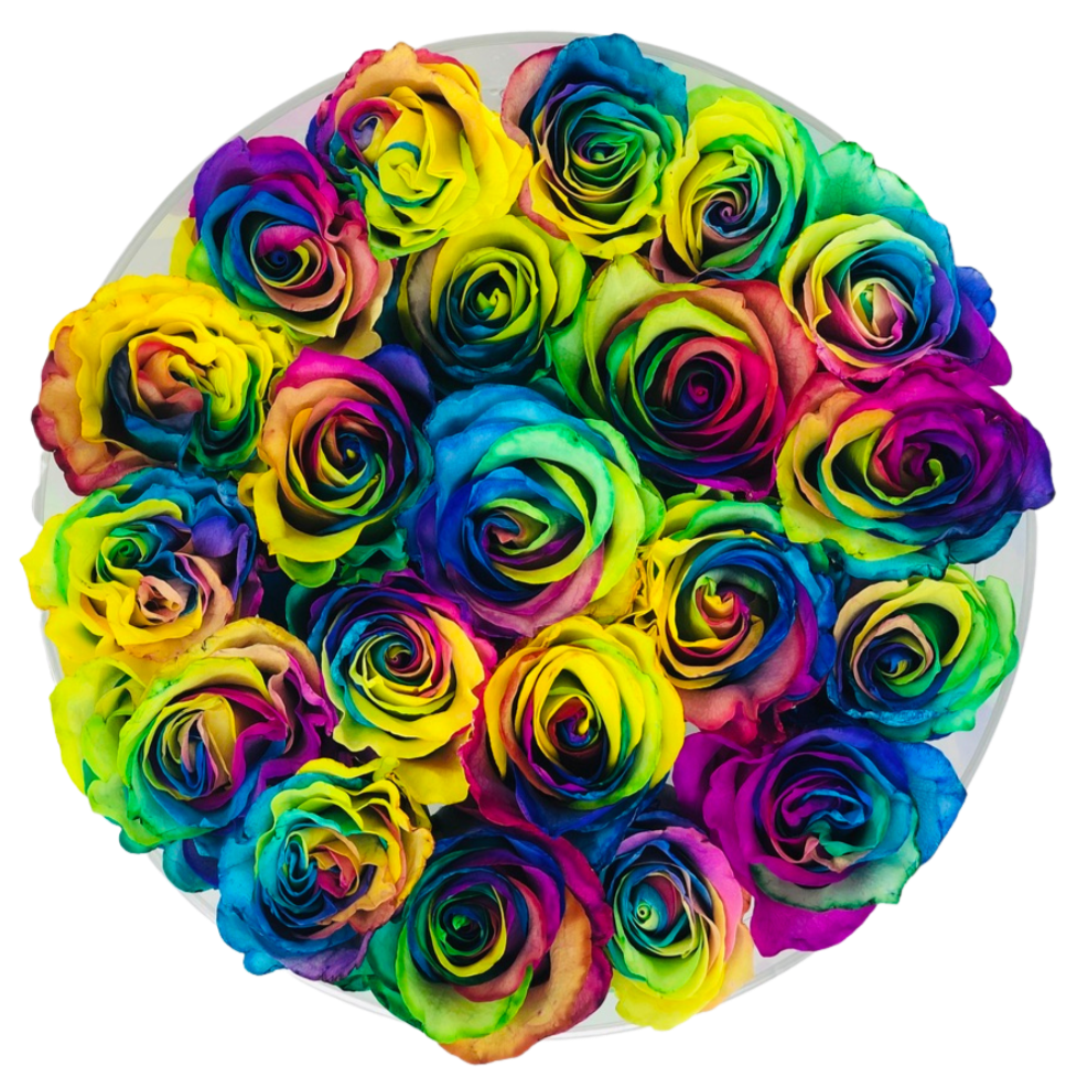 How to Build a Rainbow Rose