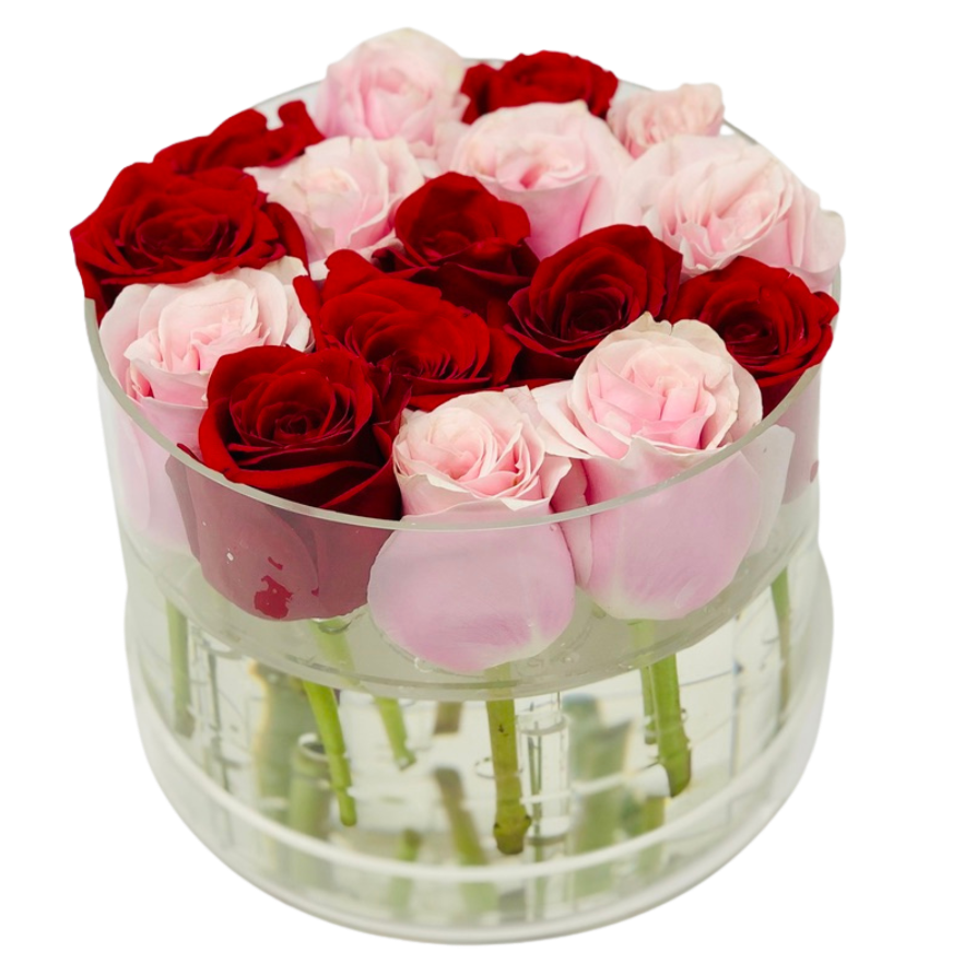 BUILD YOUR OWN: Giselle Box Forever Rose - Checkered - Ohana Moments