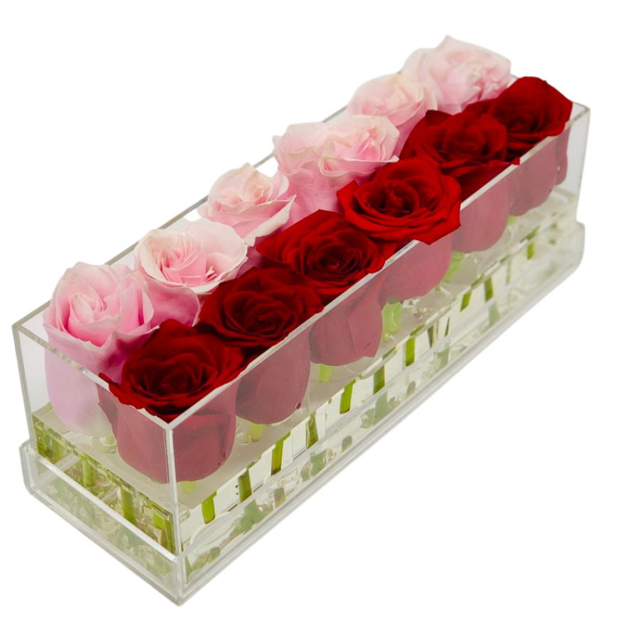 The Candy Stripe Miami Fresh Rose Box - Small - Ohana Moments