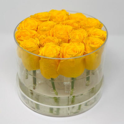 Modern Rose Box with Preserved long last lasting roses that last for years with yellow Roses