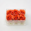 Clear Modern Rose Box with Forever Roses Long lasting roses that last for years with orange roses
