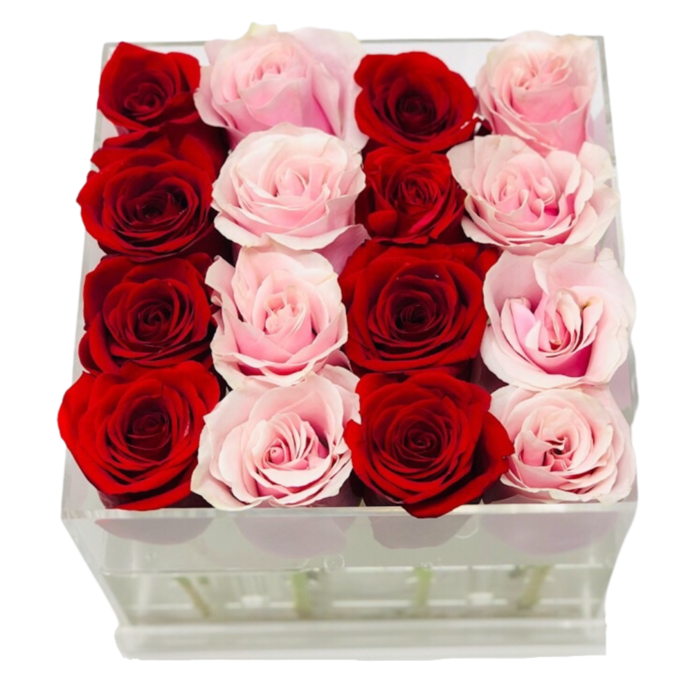 The Candy Stripe Half & Half Forever Rose Box - Medium - Ohana Moments