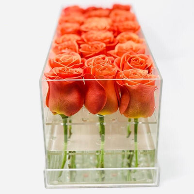 Modern rose box containing two dozen preserved long lasting roses of orange roses