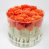 Modern Rose Box with Preserved long last lasting roses that last for years with orange roses