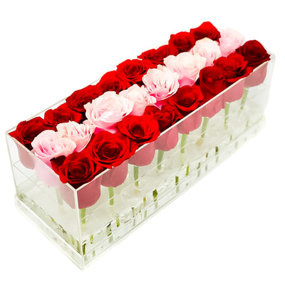 The Candy Stripe Half & Half Rose Box - Large - Ohana Moments