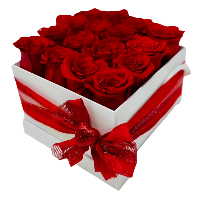The Catalina Forever Rose Box - Medium - Solid (16 roses)