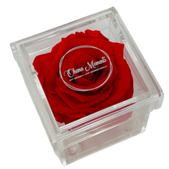 The Lizzo Forever Rose Box - Ohana Moments