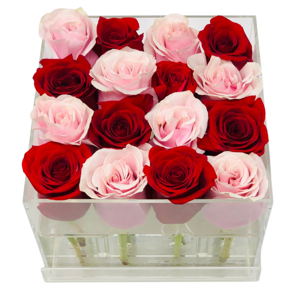 Forever Yours Rose Box - Send to Richmond Hill, ON Today!
