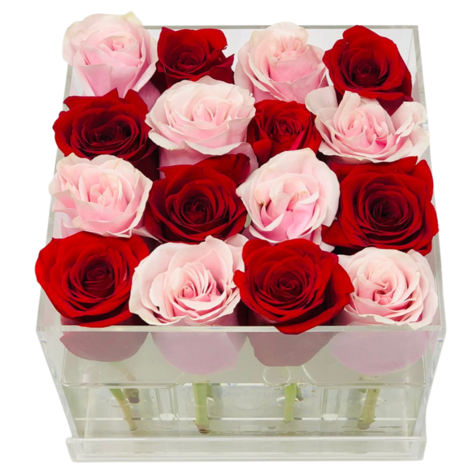 The Half & Half - Medium Square - Ohana Moments