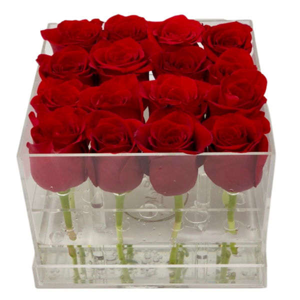 Boîtes de conservation Miniland rose (X4) 250 ml - RAYHANA BOUTIQUE