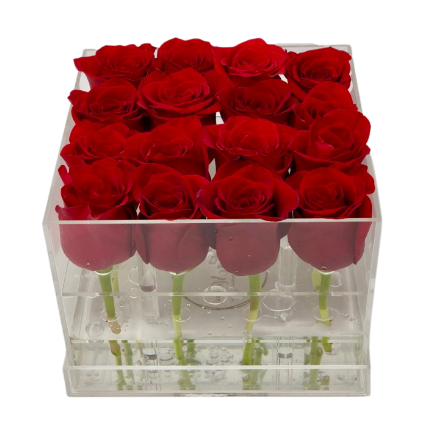 BUILD YOUR OWN FRESH ROSE BOX: Elle Box - Solid - Ohana Moments