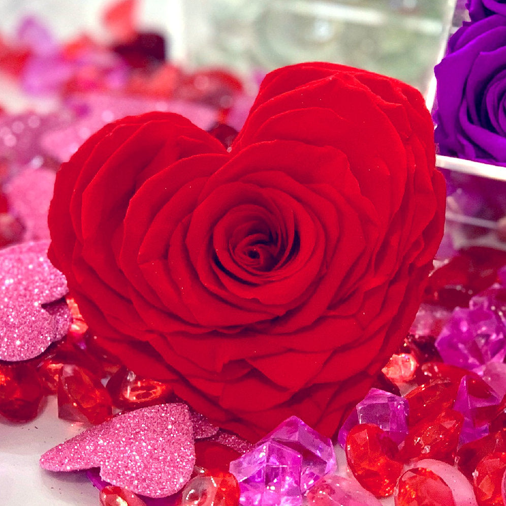 Large Preserved Heart - RED - Ohana Moments