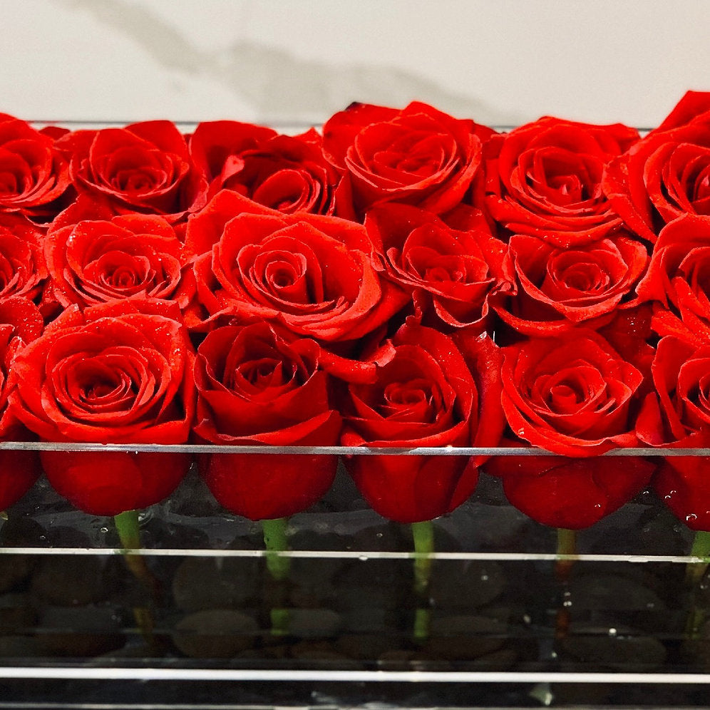 River Rocks - Ohana Moments