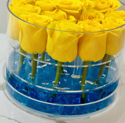 Modern Rose Box with Preserved long last lasting roses that last for years with yellow Roses