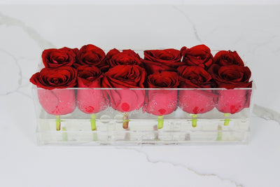 Clear Modern Rose Box with Forever Roses Long lasting roses that last for years with red roses