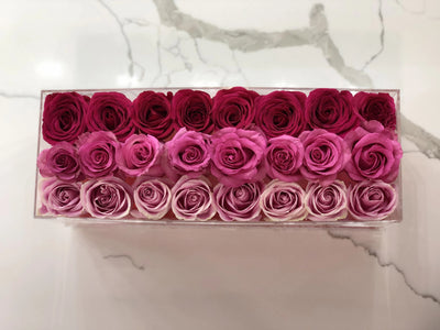 Modern rose box containing two dozen preserved long lasting roses in an ombre design of red roses, hot pink roses and pink roses