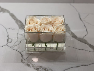 Clear Modern Rose Box with Forever Roses Long lasting roses that last for years with white roses
