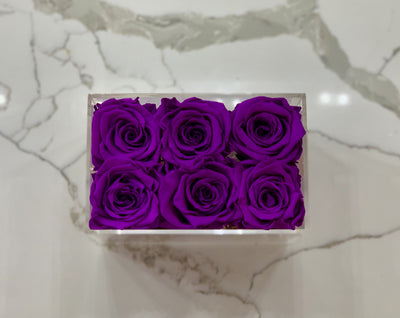 Clear Modern Rose Box with Forever Roses Long lasting roses that last for years with purple roses