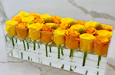 Modern rose box containing two dozen preserved long lasting roses in yellow roses and orange roses